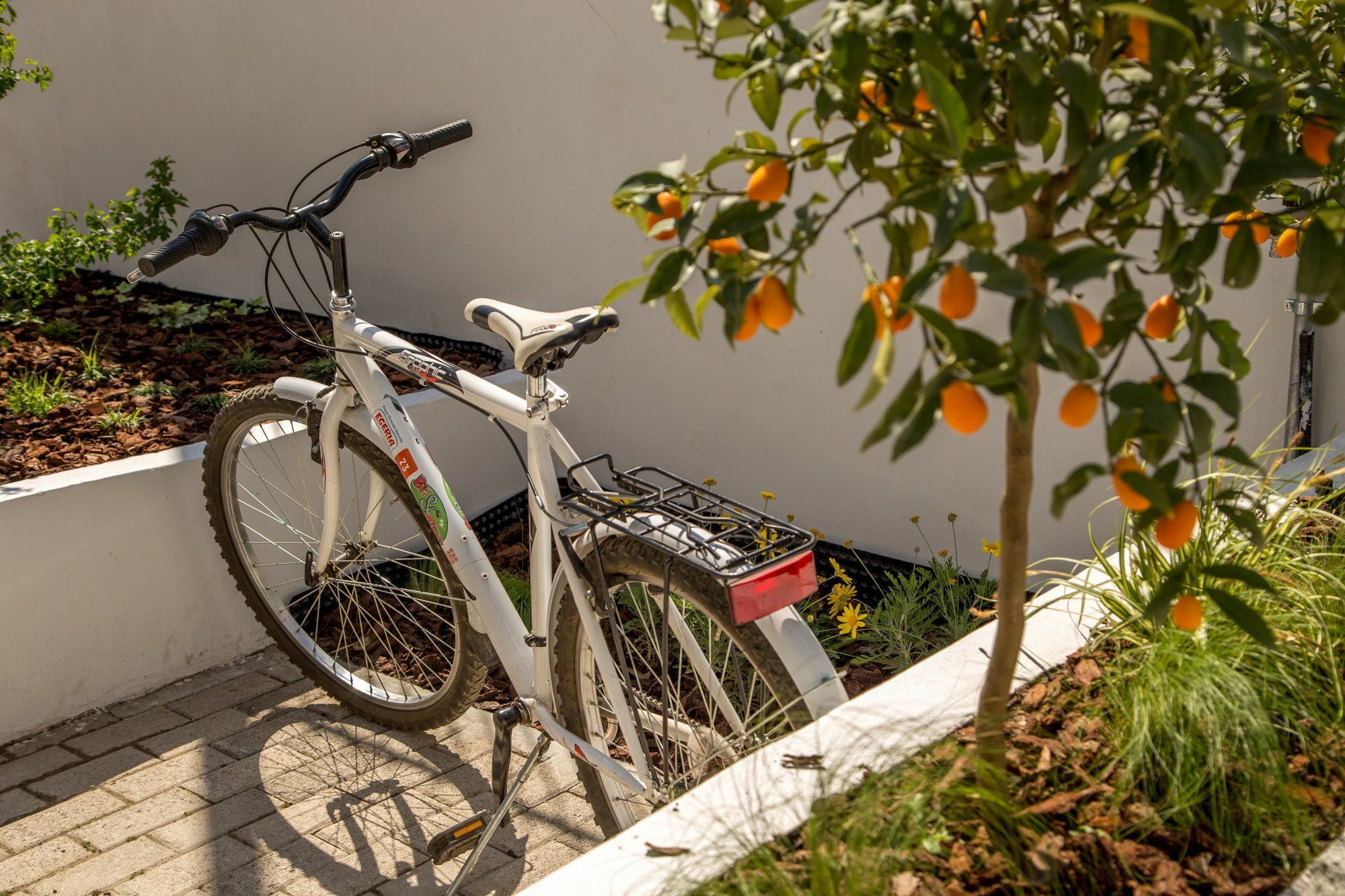 Urban Garden Hotel Roma Exterior foto